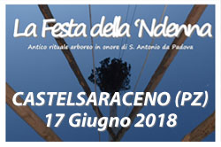 Festa della 'Ndenna?