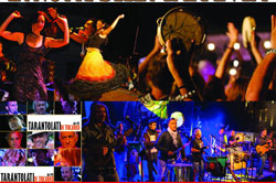 ‬Concerto a Padova